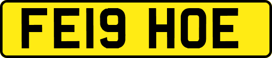 FE19HOE