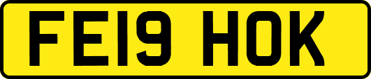 FE19HOK