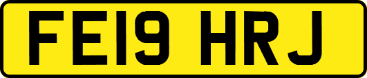FE19HRJ