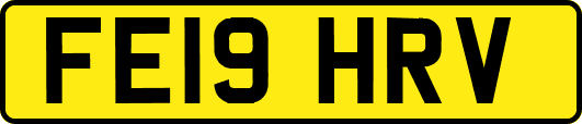 FE19HRV