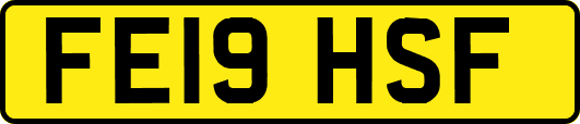 FE19HSF