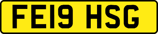 FE19HSG