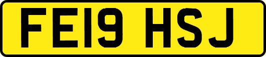 FE19HSJ
