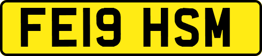 FE19HSM