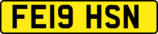 FE19HSN
