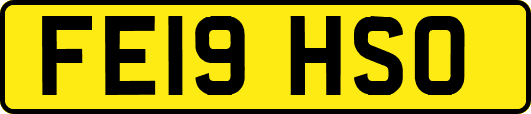 FE19HSO