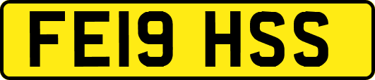 FE19HSS