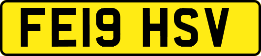 FE19HSV