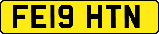 FE19HTN