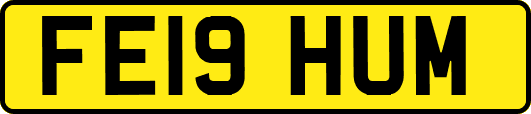 FE19HUM