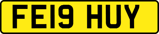 FE19HUY