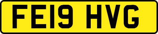 FE19HVG