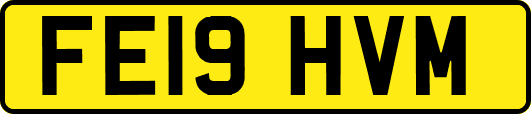 FE19HVM