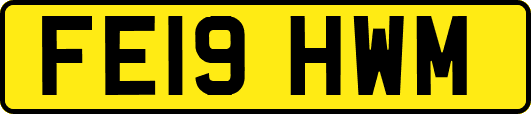 FE19HWM