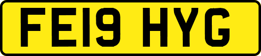 FE19HYG