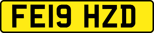 FE19HZD