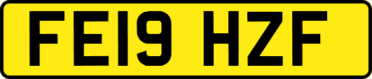 FE19HZF