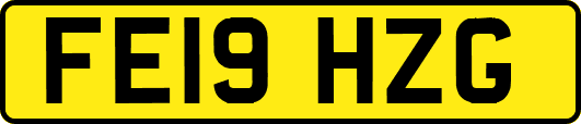 FE19HZG