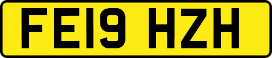 FE19HZH