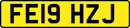 FE19HZJ