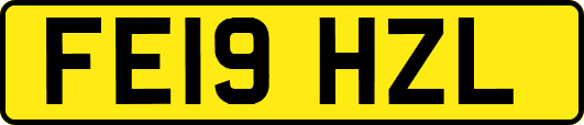 FE19HZL