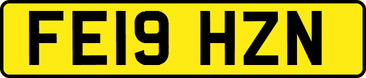 FE19HZN