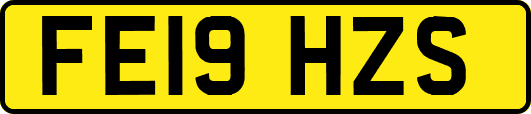 FE19HZS