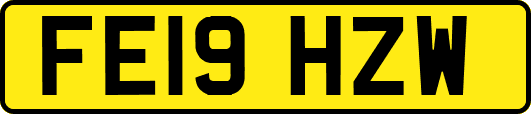 FE19HZW