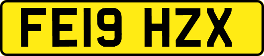 FE19HZX