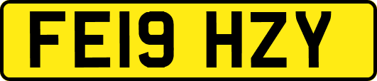 FE19HZY