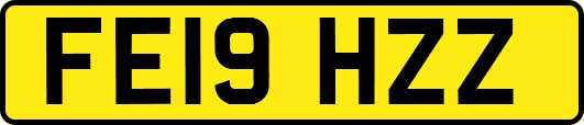 FE19HZZ
