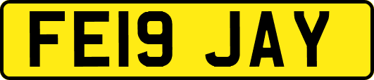 FE19JAY