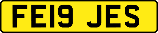 FE19JES