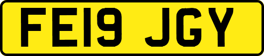 FE19JGY