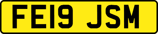FE19JSM