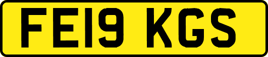 FE19KGS