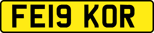 FE19KOR