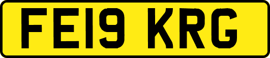 FE19KRG