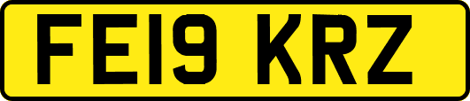 FE19KRZ