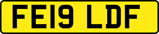 FE19LDF