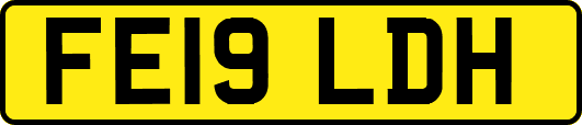 FE19LDH