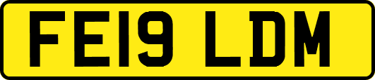 FE19LDM