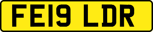 FE19LDR