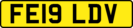 FE19LDV