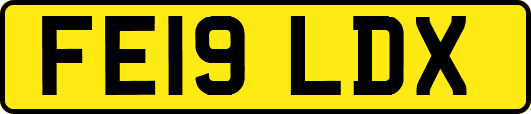 FE19LDX