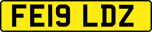 FE19LDZ
