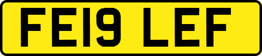 FE19LEF