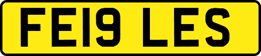 FE19LES
