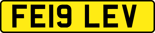 FE19LEV