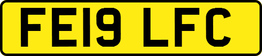 FE19LFC